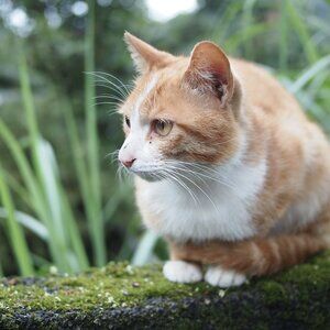 Meet your Posher, Judy